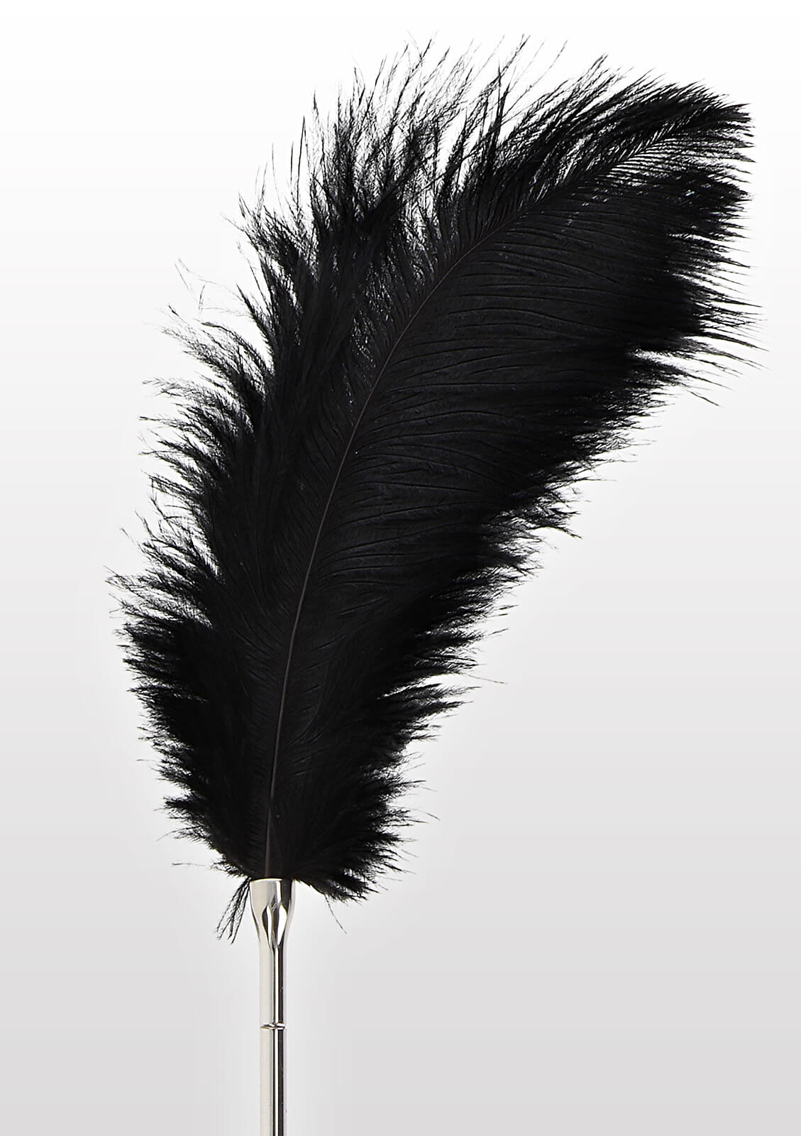 TABOOM Essentials Feather Tickler (Black), veľké šimracie pierko